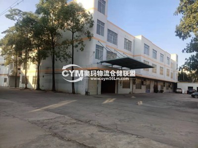 廣東-東莞-望牛墩鎮(zhèn)倉庫出租