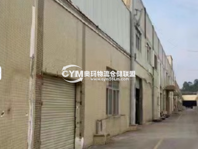 廣東-中山-板芙鎮(zhèn)倉庫出租