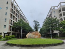 廣東/東莞/大嶺山鎮(zhèn)倉庫出租