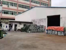 廣東/東莞/橋頭鎮(zhèn)倉庫出租