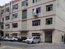 廣東-深圳-龍崗區(qū)倉庫出租