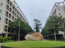 廣東/東莞/高埗鎮(zhèn)倉庫出租