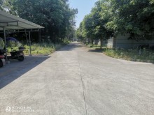 四川/成都/新津區(qū)倉庫出租