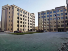 廣東-廣州-南沙區(qū)倉庫出租