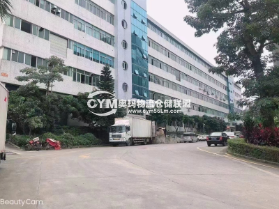 廣東-深圳-龍華區(qū)倉庫出租