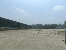 廣東/東莞/大嶺山鎮(zhèn)倉庫出租