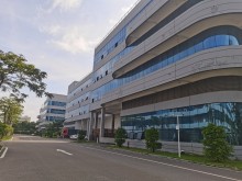 廣東/廣州/南沙區(qū)倉庫出租
