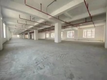 廣東/揭陽/普寧市倉庫出租