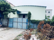 廣東/中山/東鳳鎮(zhèn)倉庫出租
