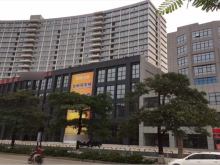 廣東/深圳/寶安區(qū)倉庫出租