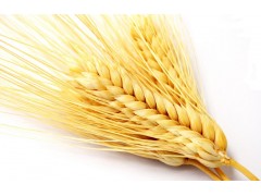 150