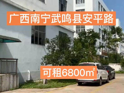 廣西南寧武鳴縣有25000平米普通倉庫純租 (241播放)