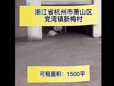 浙江杭州蕭山區(qū)有6000平米普通倉(cāng)庫(kù)純租 (139播放)
