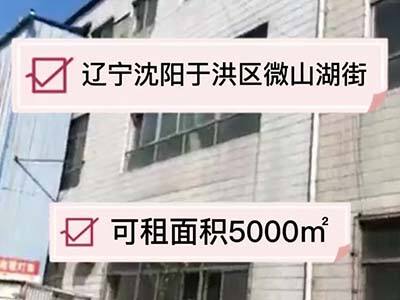遼寧沈陽(yáng)于洪區(qū)有5000平米普通倉(cāng)庫(kù)純租 (26播放)