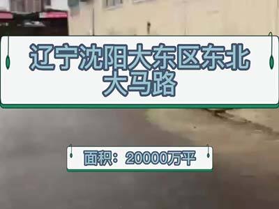 遼寧沈陽(yáng)大東區(qū)有1500平米危化(丙類)倉(cāng)庫(kù)純租/托管 (215播放)