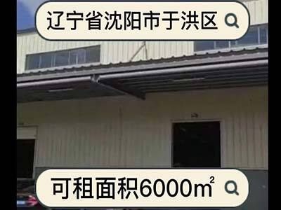 遼寧沈陽于洪區(qū)有8000平米暖庫倉庫純租/托管 (330播放)