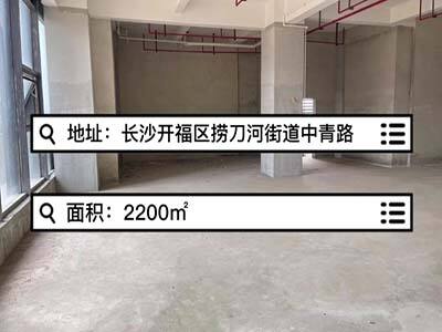 湖南長沙開福區(qū)有2200平米普通倉庫純租 (239播放)