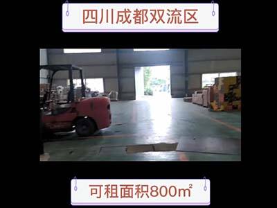 四川成都雙流區(qū)有800平米普通倉庫純租 (59播放)